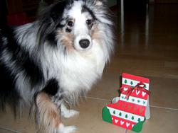 「ぼくにもサンタさんがプレゼントをくれたよ！」