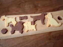 TOMTE わんこクッキー