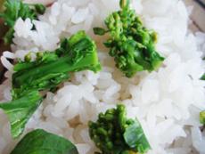 TOMTE「本日のご飯」　春は&ldquo;菜の花ご飯&rdquo;