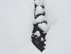 TOMTE 冬の森のお散歩ツアー　雪の合間から顔を出した小川