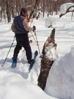 TOMTE冬のお散歩ツアー