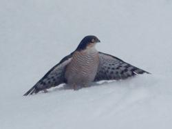 TOMTEツアーで動物たちに遭遇！